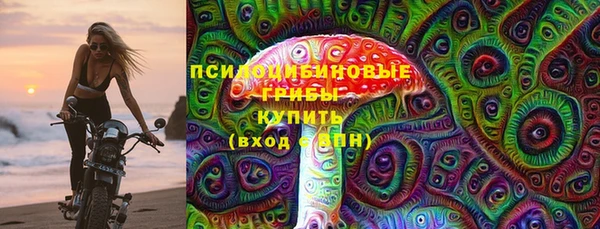 apvp Алзамай