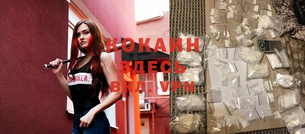 apvp Алзамай
