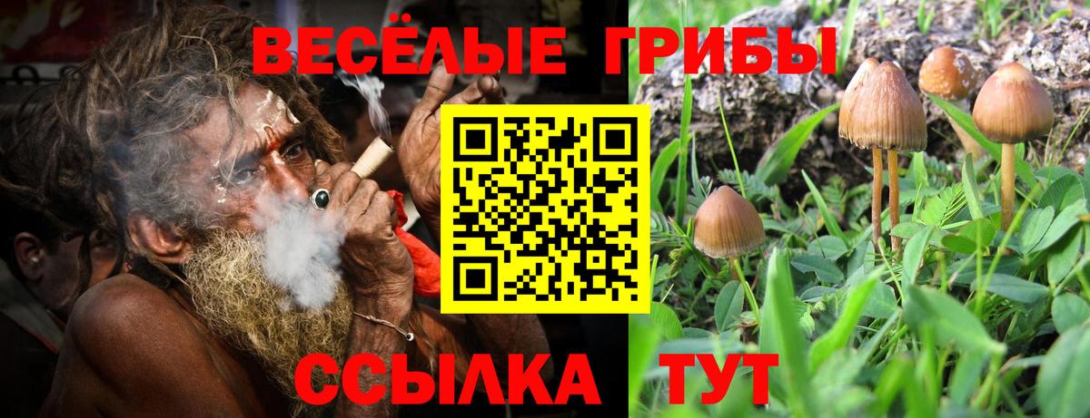 Продажа наркотиков  Каннабис  APVP СК кристаллы  Меф   КЕТАМИН  Чистополь  Гашиш  Вход с VPN 
