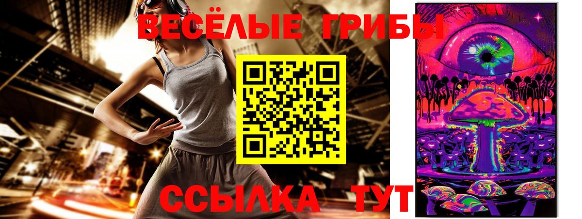 Галлюциногенные грибы Magic Shrooms  купить закладку  Чистополь  Вход с VPN 